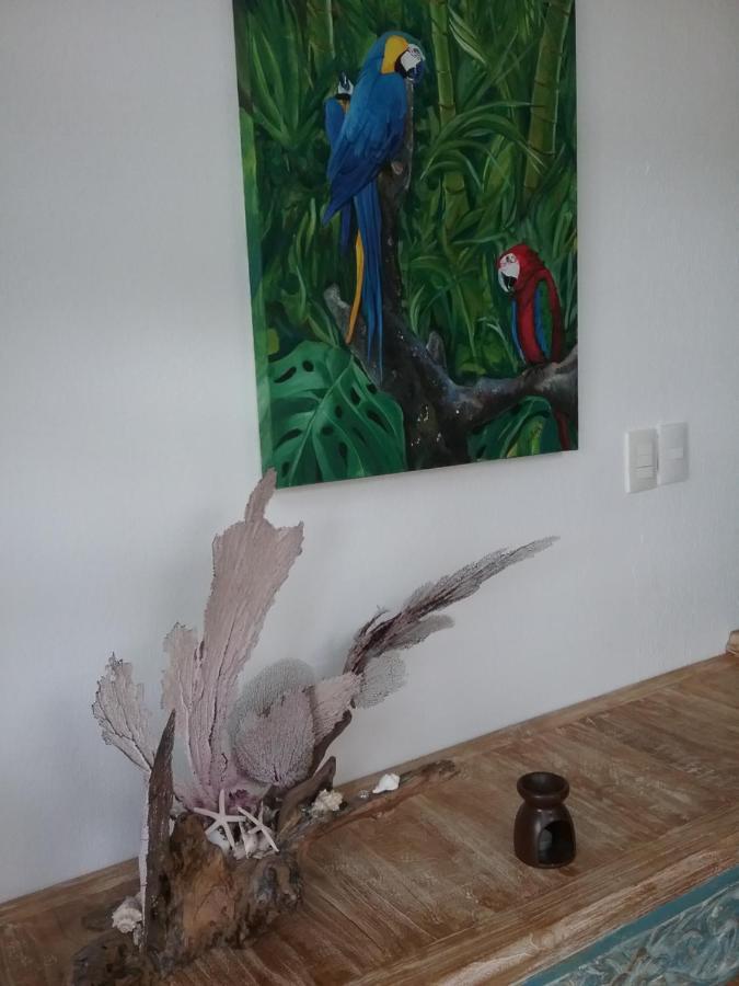 Casa Rioja Playacar Bed and Breakfast Playa del Carmen Exteriör bild