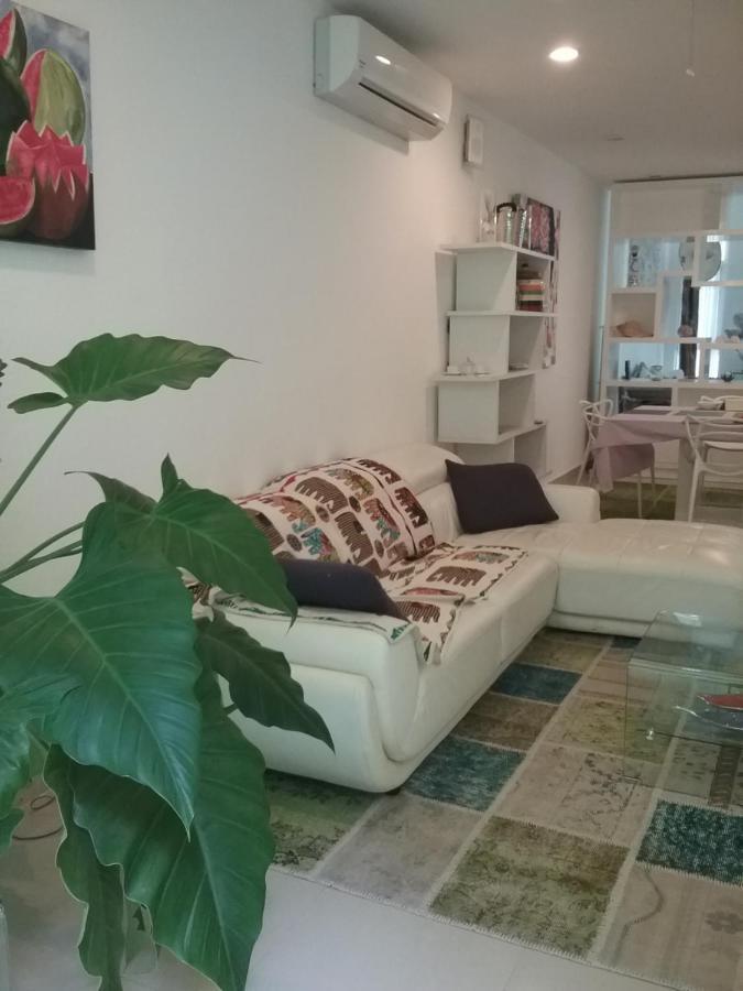 Casa Rioja Playacar Bed and Breakfast Playa del Carmen Exteriör bild